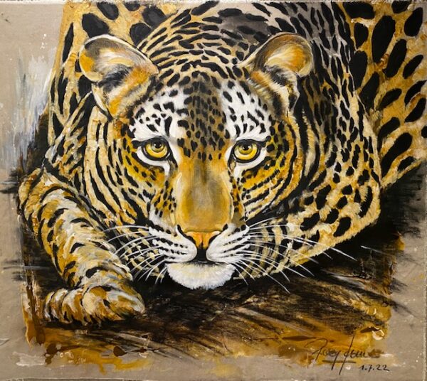 Leopard
