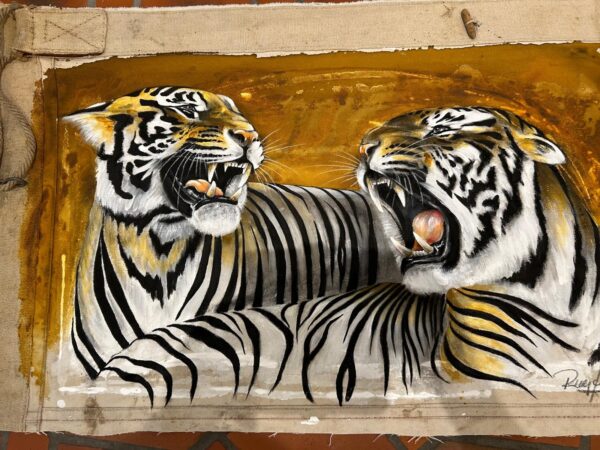 2 Tiger ocker #2